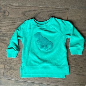 2T long sleeve green dinosaur sweatshirt